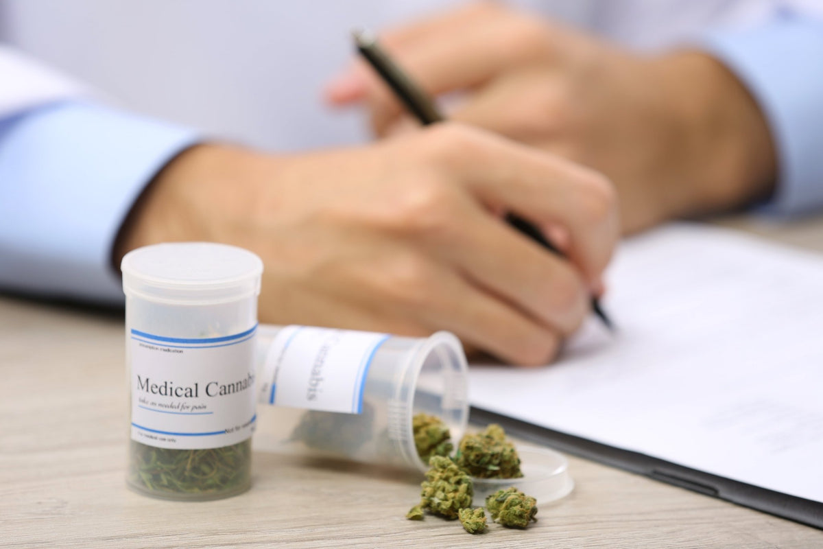 Cannabis auf Rezept unter Druck: Wird Homegrow wieder wichtiger? - Cannaseuse - Curated Genetics