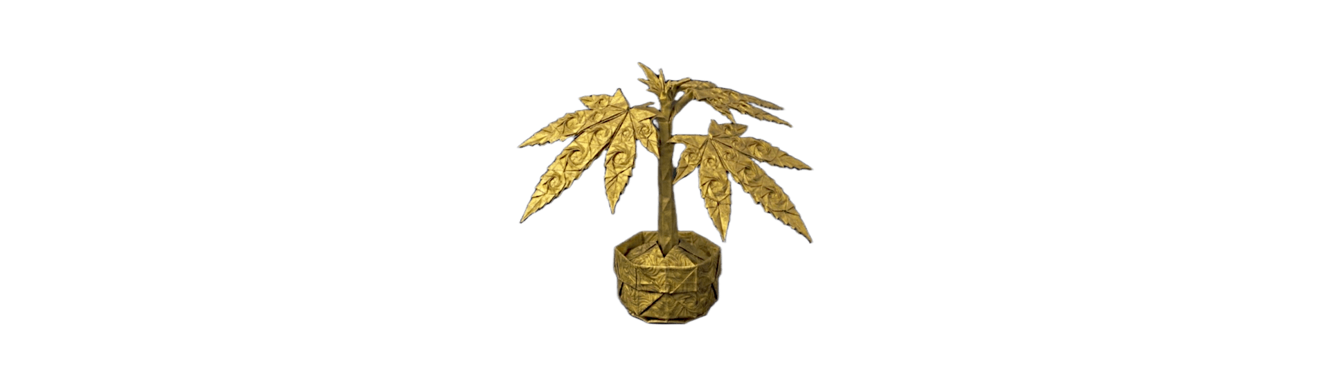 Alle Samen - Cannaseuse - Curated Genetics
