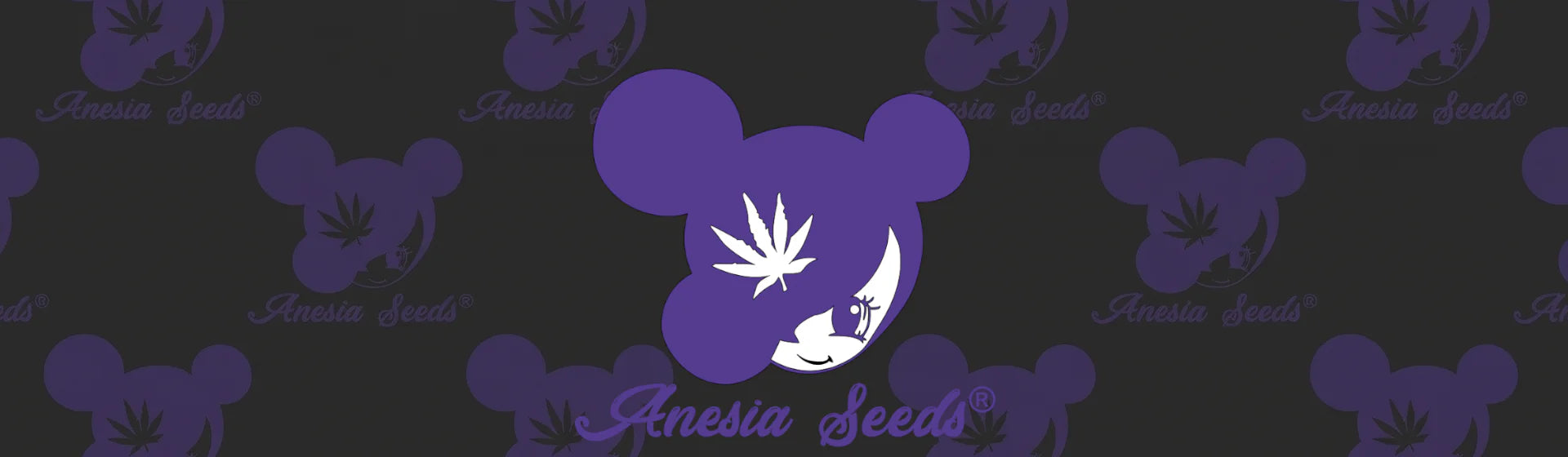 Anesia Seeds