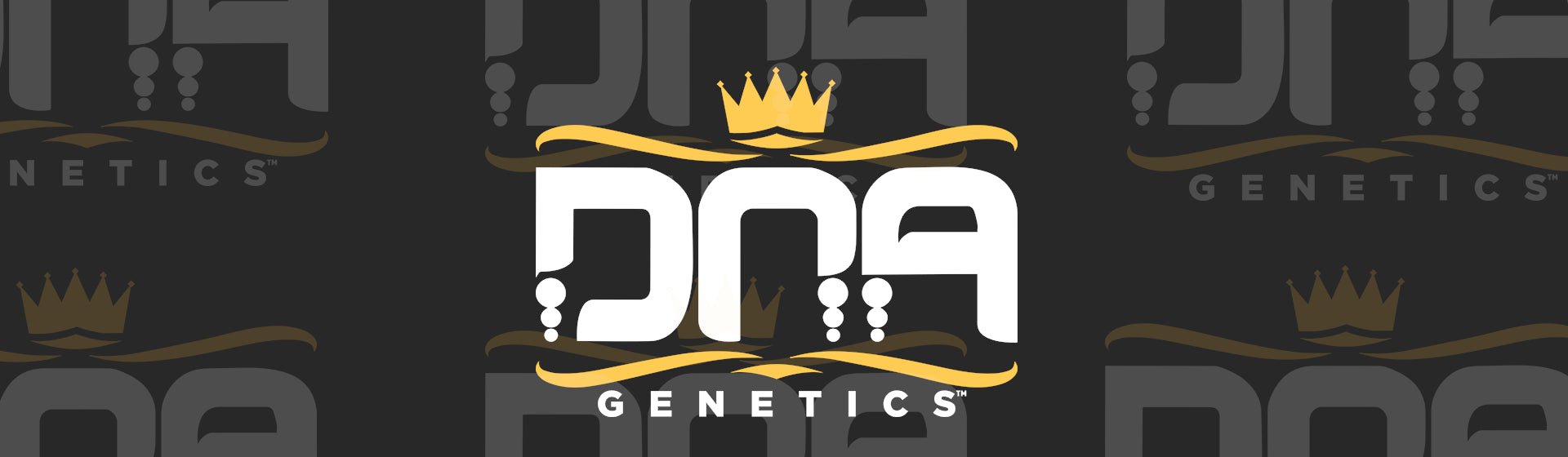 DNA Genetics