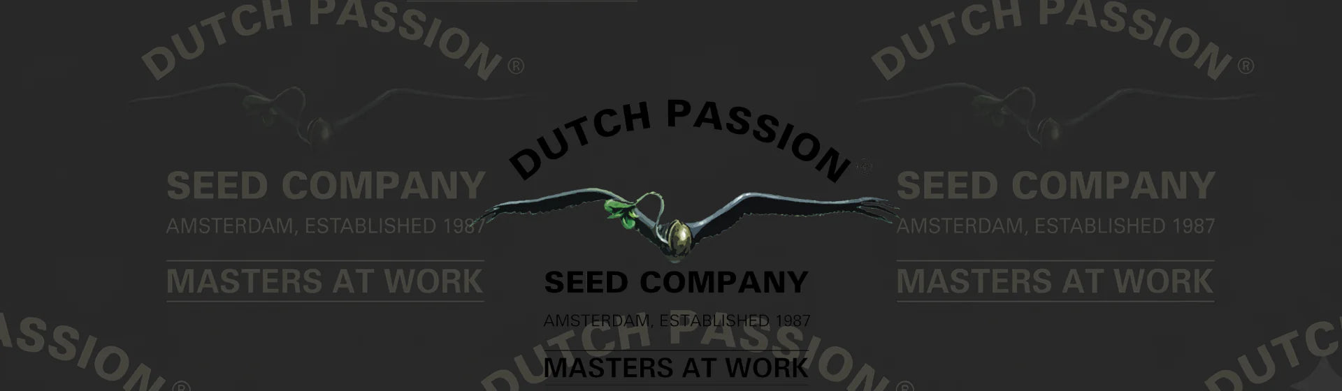 Dutch Passion