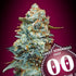 00 Seeds-Sweet Somango