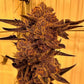 Black Cherry Flambe