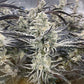 Platinum Kush Breath Remix