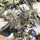 Platinum Kush Breath Remix