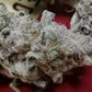 Slurricane #7 S1