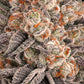 Frosted Zinn × 3 Bears OG Auto - Cannaseuse - Curated Genetics - Barney's Farm