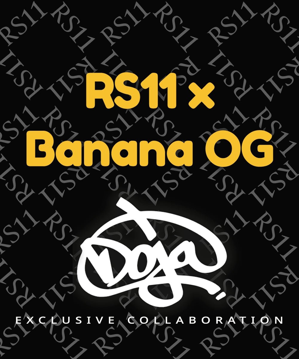 RS11 x Banana OG - Cannaseuse - Curated Genetics - Barney's Farm