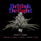 British delight - Cannaseuse - Curated Genetics - Wizard Trees