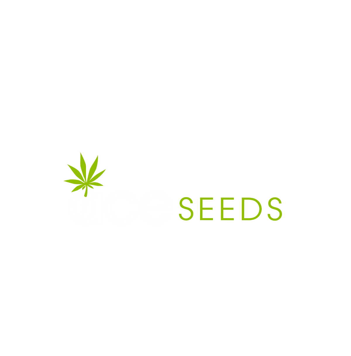 Night Owl Seeds