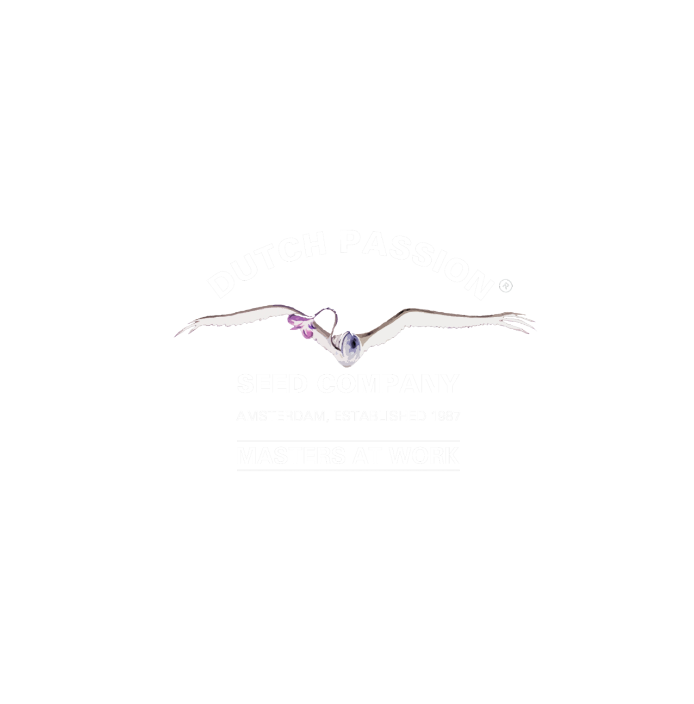 Dutch Passion