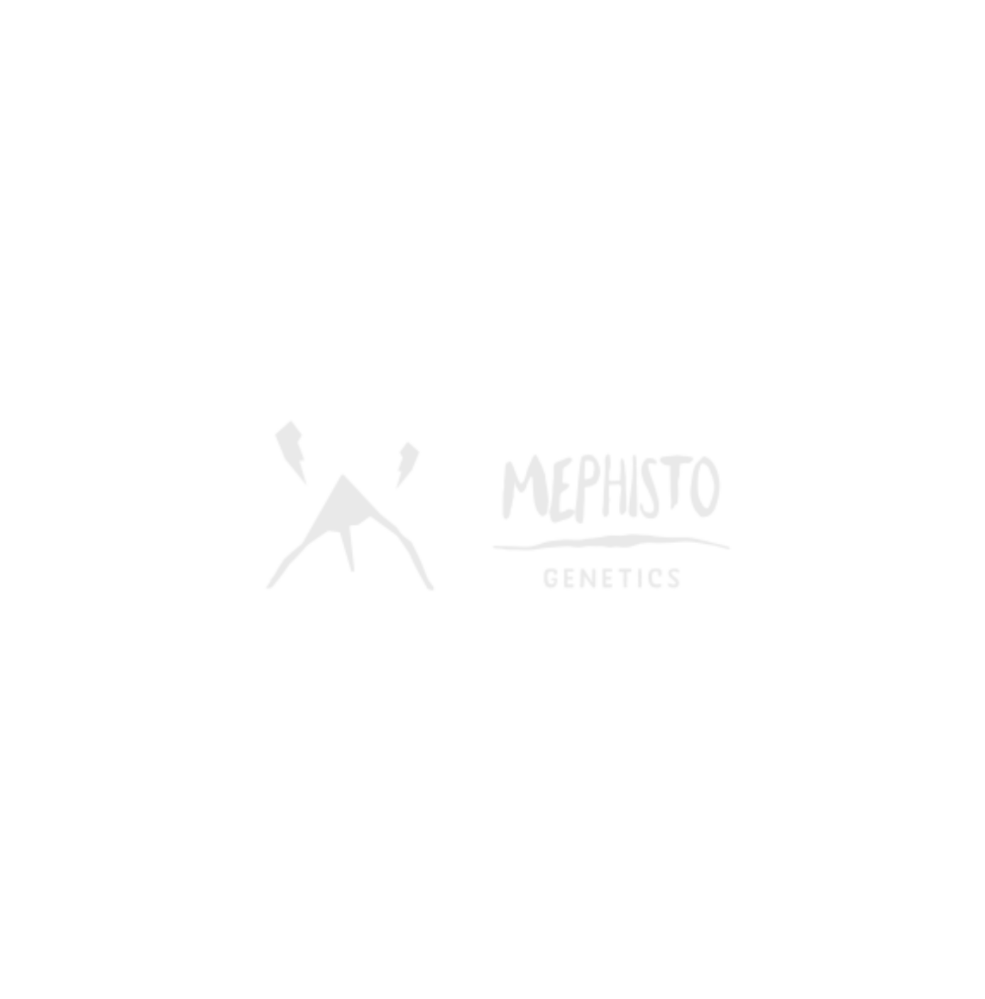 Mephisto Genetics