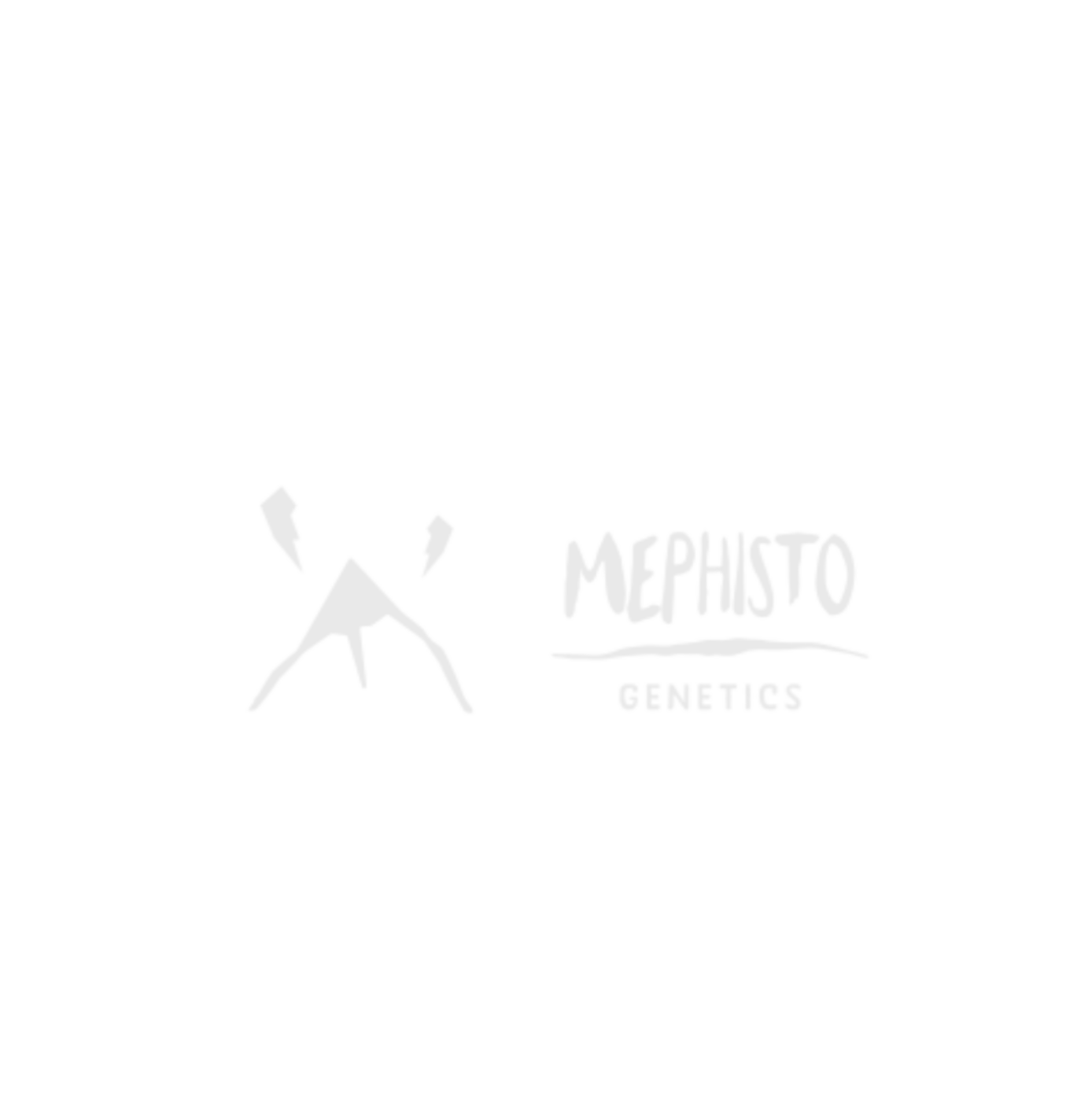 Mephisto Genetics