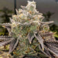 Bubble Gummy Auto