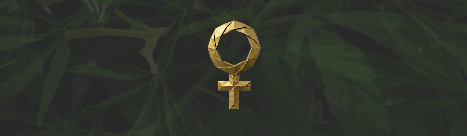 Fem. Seeds