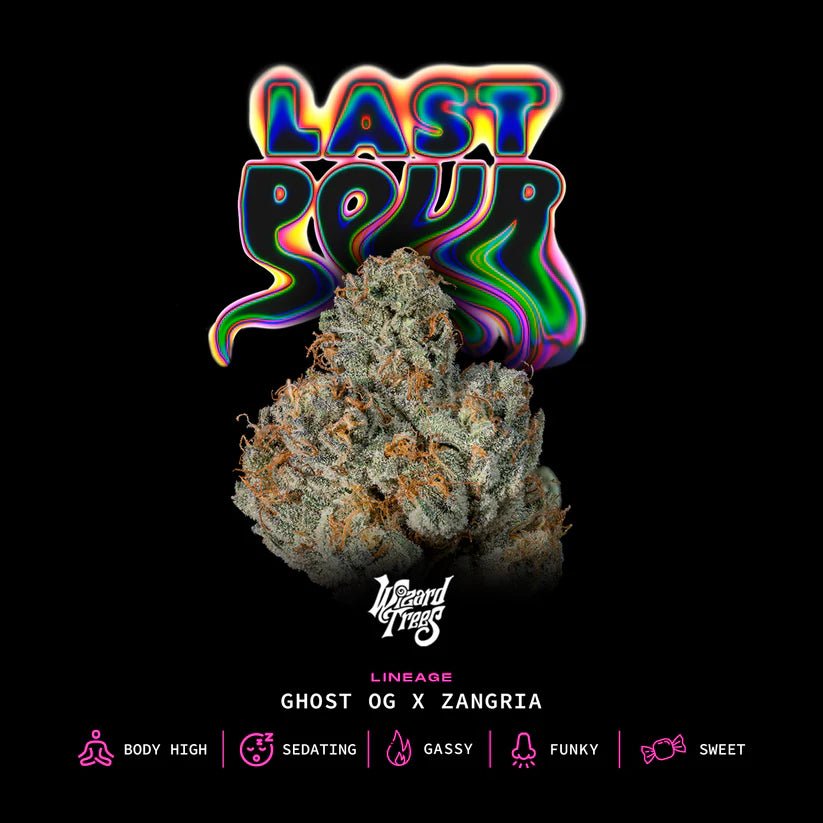 Last Pour - Cannaseuse - Curated Genetics - Wizard Trees