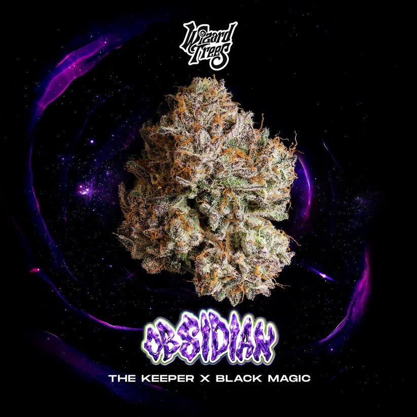 Wizard Trees-Obsidian