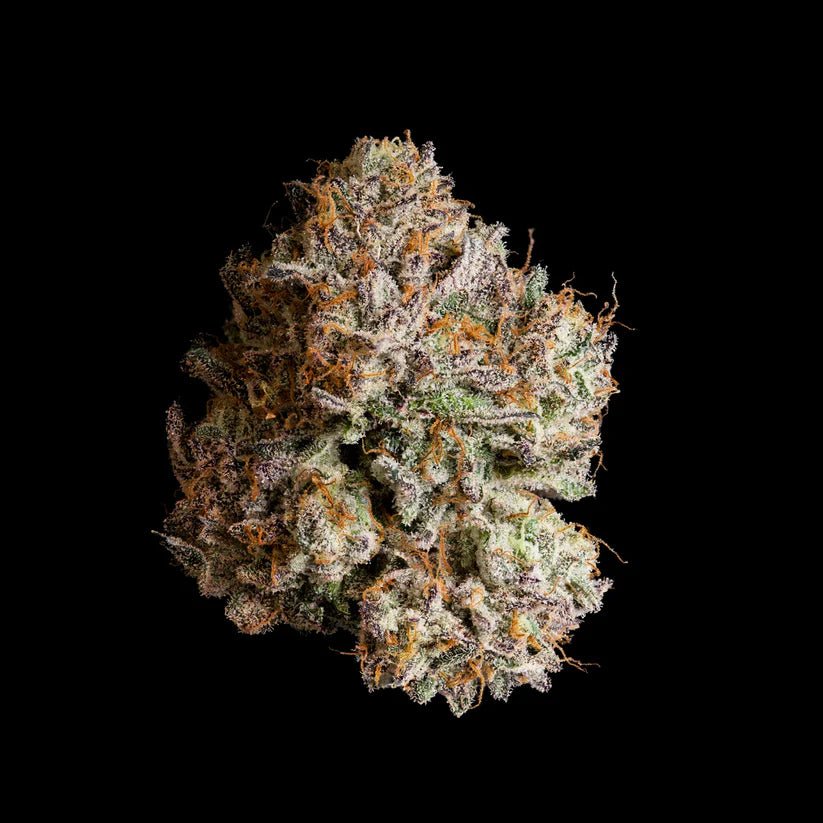 Wizard Trees-Obsidian