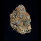 Wizard Trees-Potion