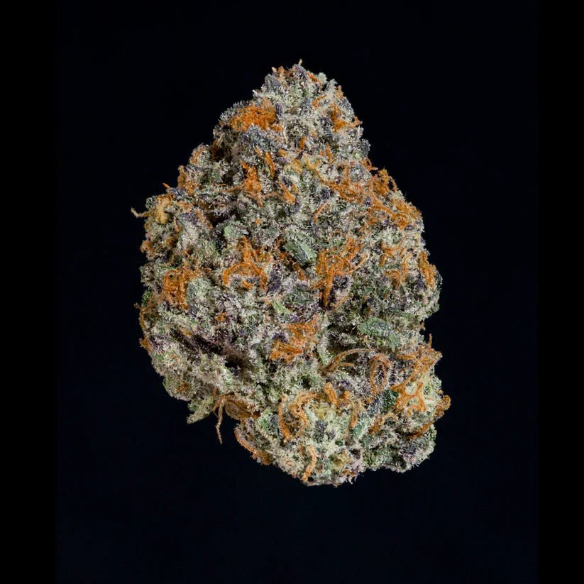Wizard Trees-Potion