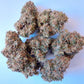 ace SEEDS-African Gas