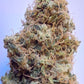ace SEEDS-African Gas