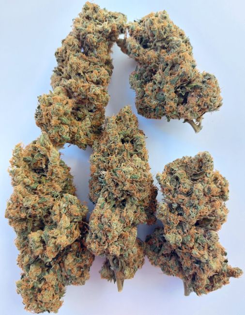 ace SEEDS-Brume of Incense
