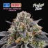 Perfect Tree Seeds-Arctic Cherries