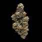 DNA Genetics-Baker's Delight