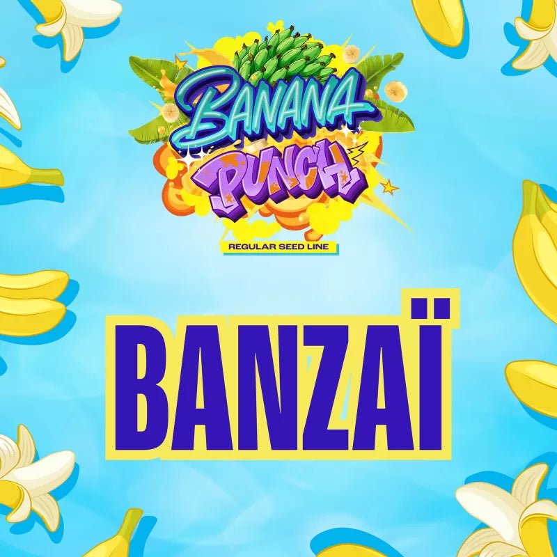 Banzaï