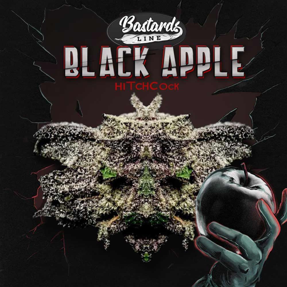 Black Apple Hitchcock