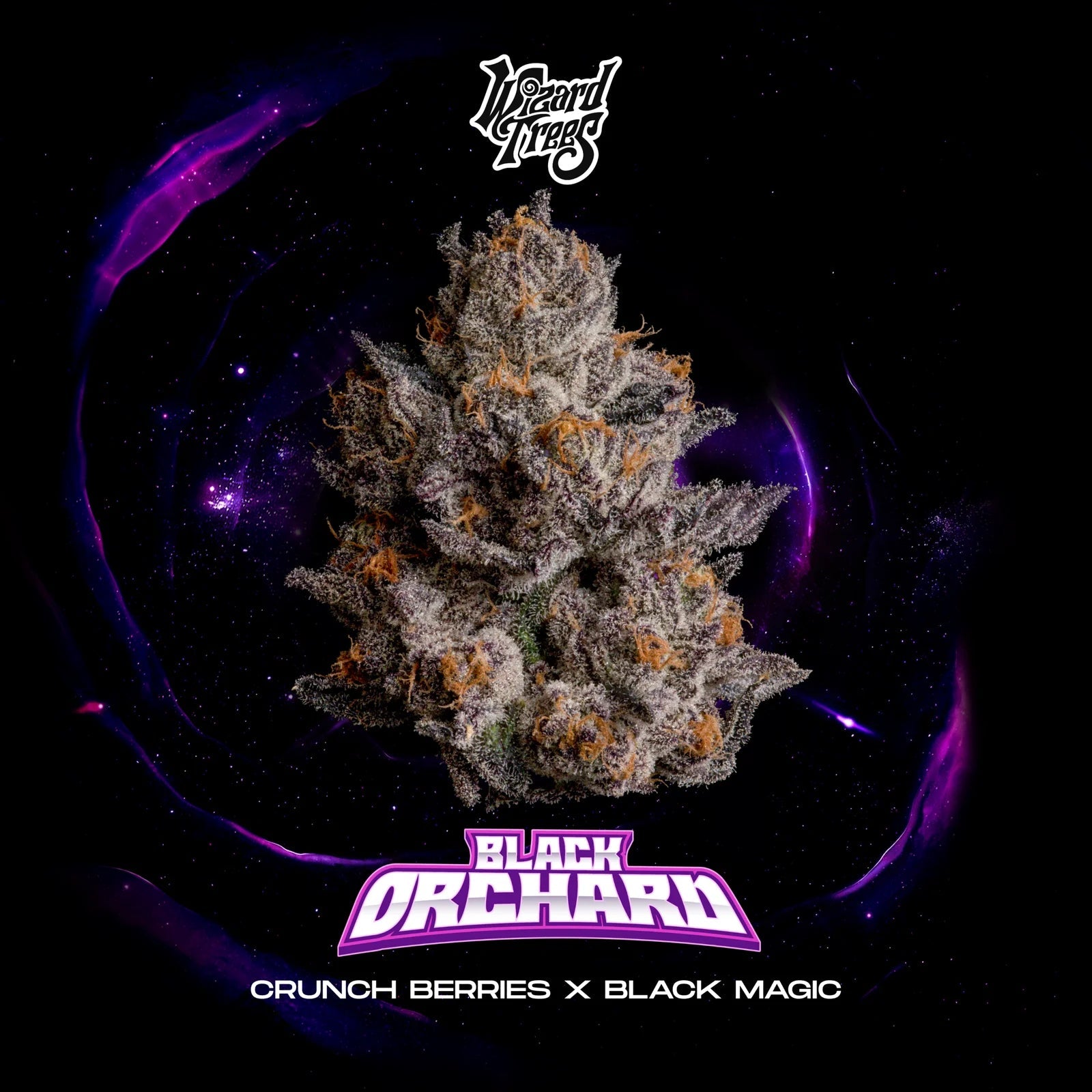 Wizard Trees-Black Orchard