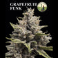 Boudica Seeds-Grapefruit Funk