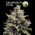 Boudica Seeds-Grapefruit Funk