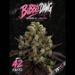 T.H.Seeds-BubbleDawg