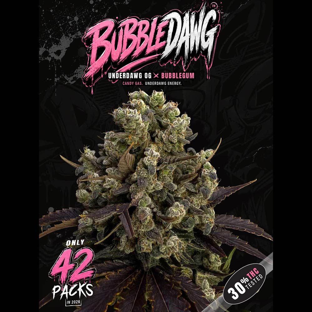 T.H.Seeds-BubbleDawg
