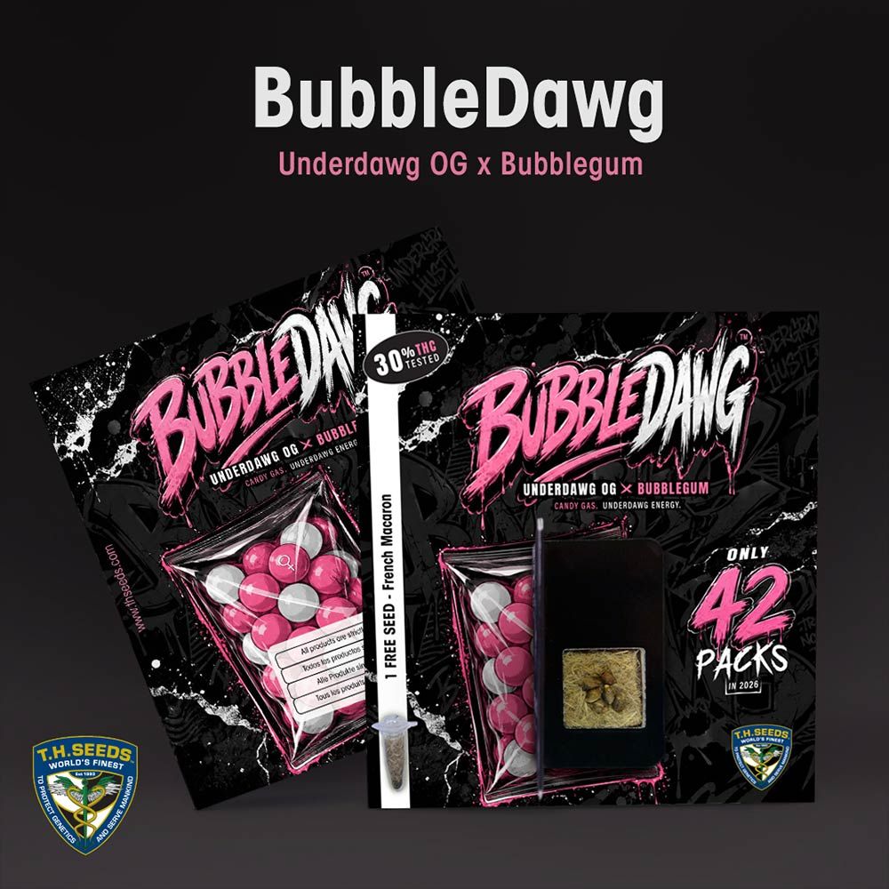 T.H.Seeds-BubbleDawg