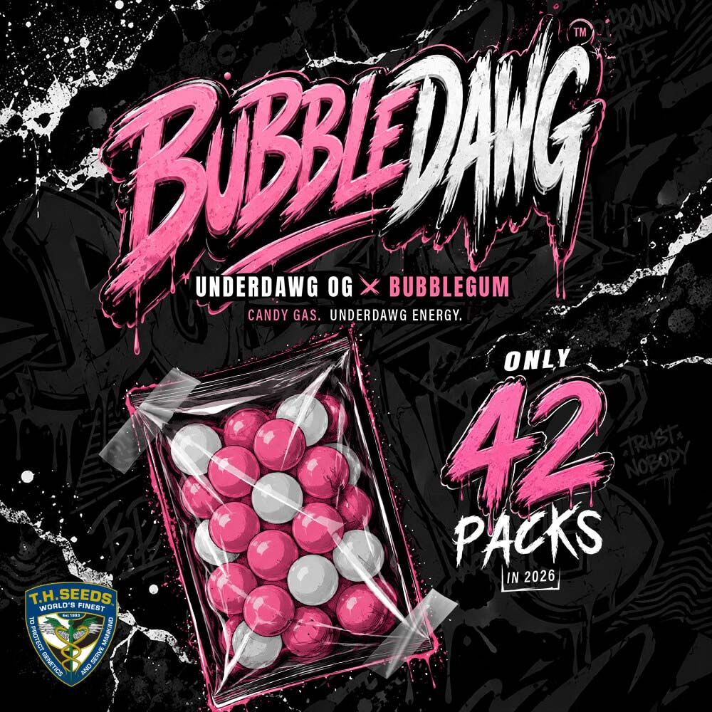 T.H.Seeds-BubbleDawg