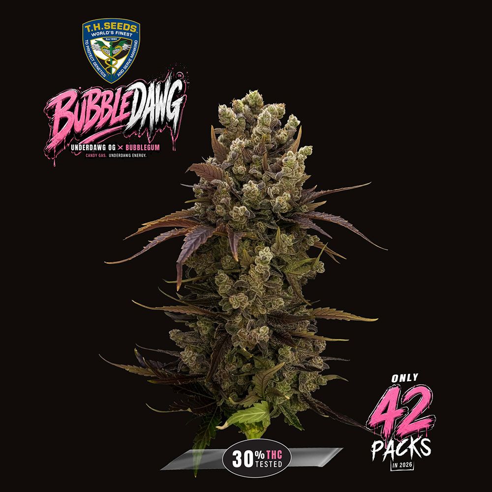 T.H.Seeds-BubbleDawg