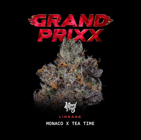 Wizard Trees-Grand Prixx