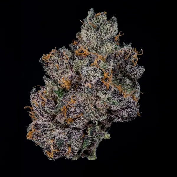 Wizard Trees-Grand Prixx