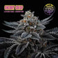 Perfect Tree Seeds-Cherry Crisp