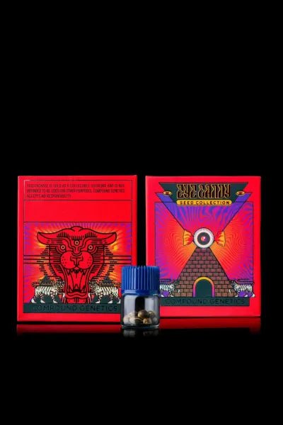 Philbo Baggins - Cannaseuse - Curated Genetics - Compound Genetics