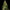 Corkscrew Auto - Cannaseuse - Curated Genetics - Tyson 2.0 x RQS