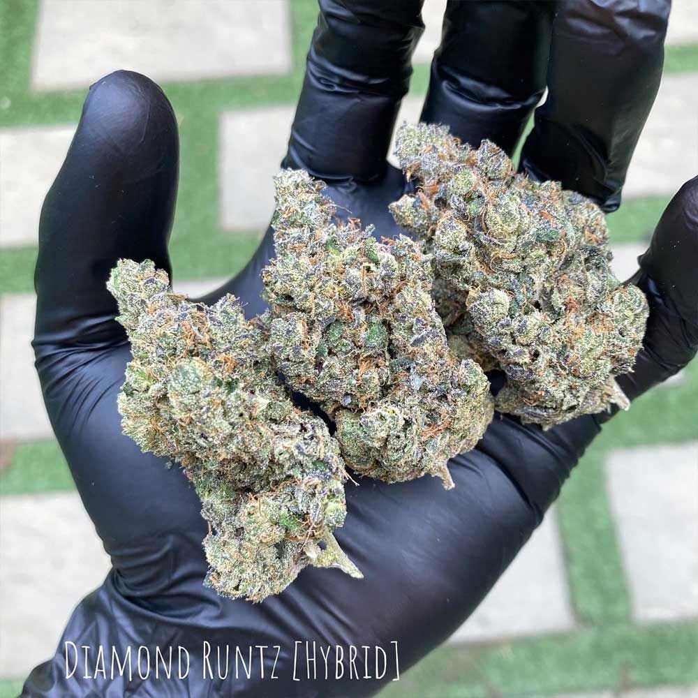 Always Be Flowering (ABF)-Diamond Runtz