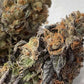 Always Be Flowering (ABF)-Diamond Runtz