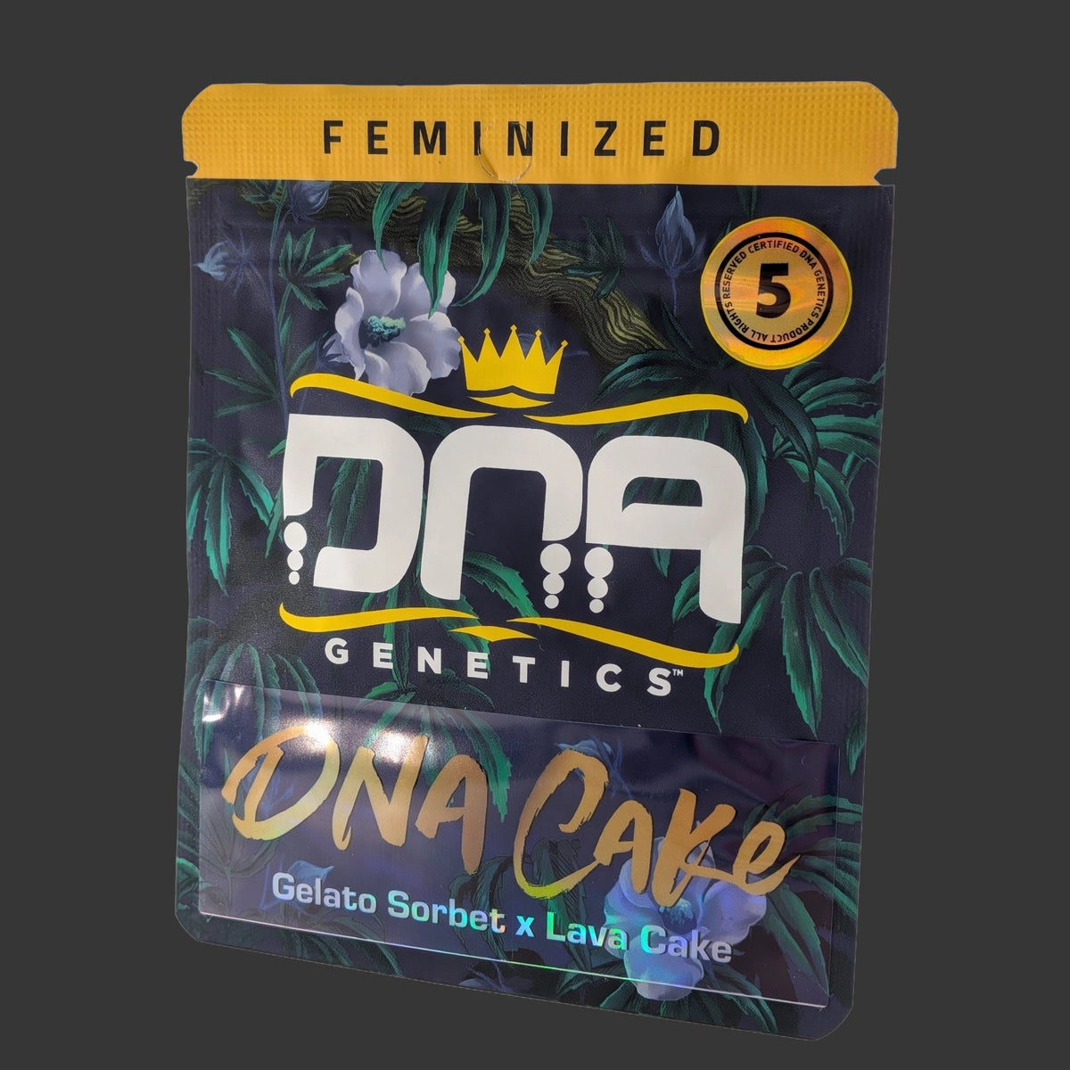 DNA Genetics-DNA Cake