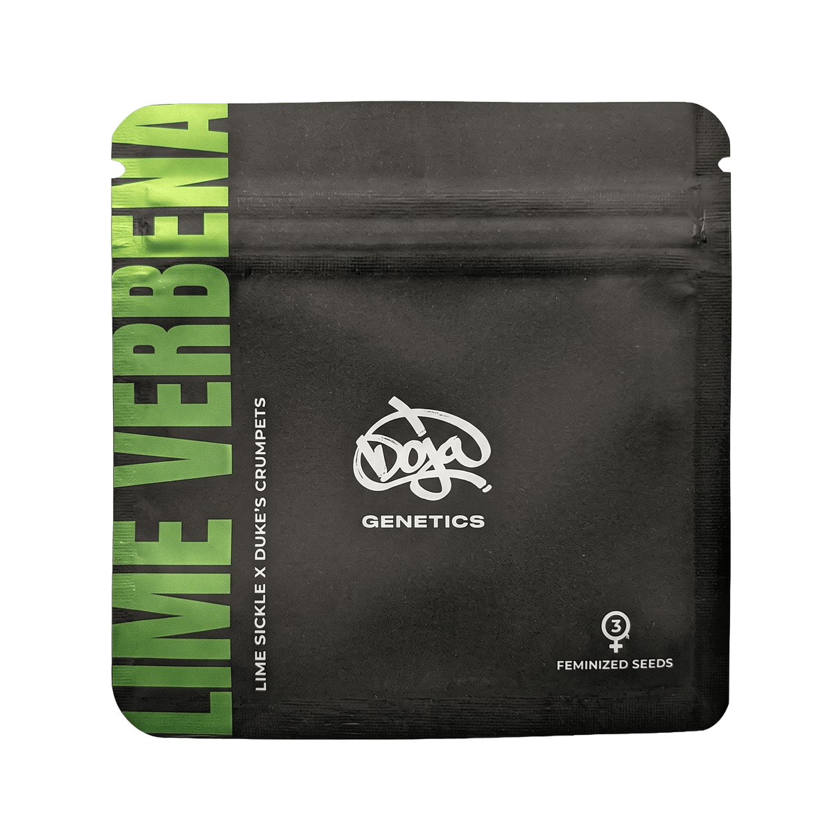 Doja-Lime Verbena