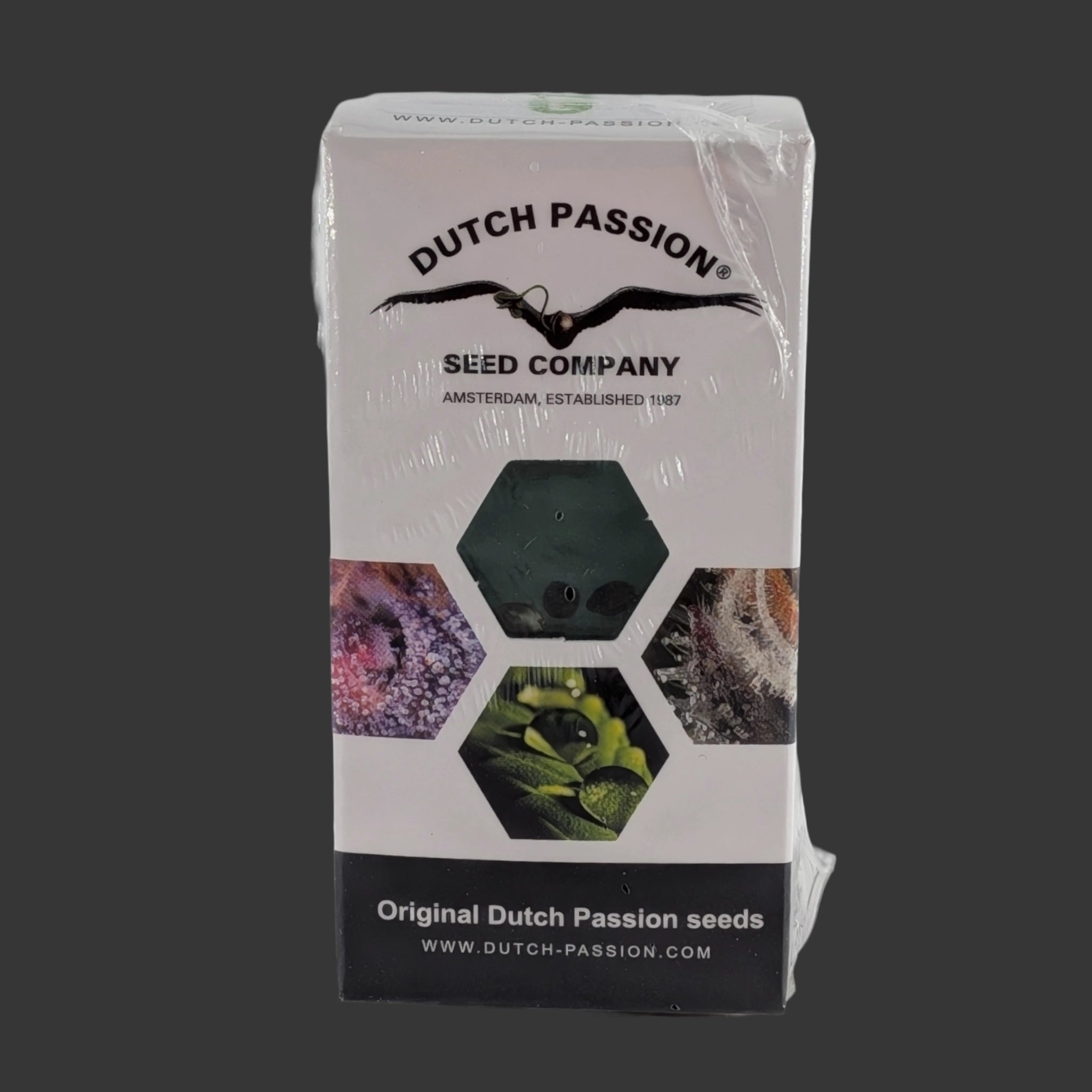 Dutch Passion-Durban Poison