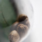Sensi Seeds-Ed Rosenthal Super Bud